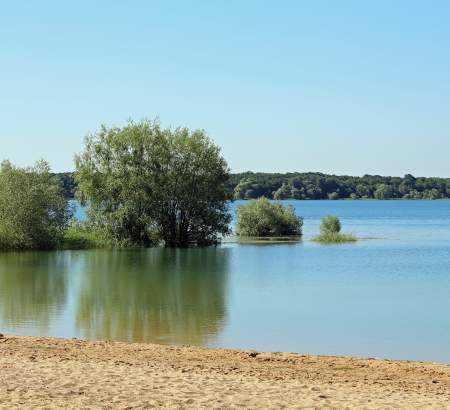 ᐃ LA NOUE DES ROIS **** : Campsite France Aube